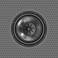 Cicada CMB10.S4NEO - 10″ Pro Mid-Bass Driver with CMC™ & NEO Technology- 4Ω