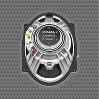 
              Cicada - CXX57.4 - High Performance Full-Range 5x7-inch Pro Coaxial - 4Ω
            