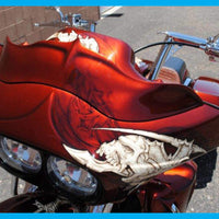 DIRTYBIRD CONCEPTS - WINDSHIELD - Harley Wicked Road Glide Windshield 1998 To 2013