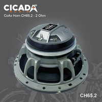 
              Cicada CH65.2 6.5″ COAX HORN – 2 OHM
            
