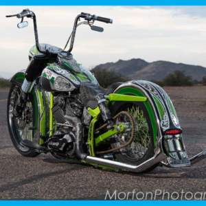 Dirty on sale bird softail