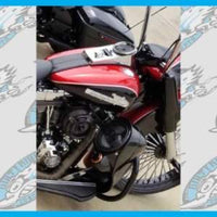 DIRTYBIRD CONCEPTS - LOWERS-  SOFTAIL - Harley Softail Loud Leg Warmers 8″ With Custom Crash Bar 2001 To 2017